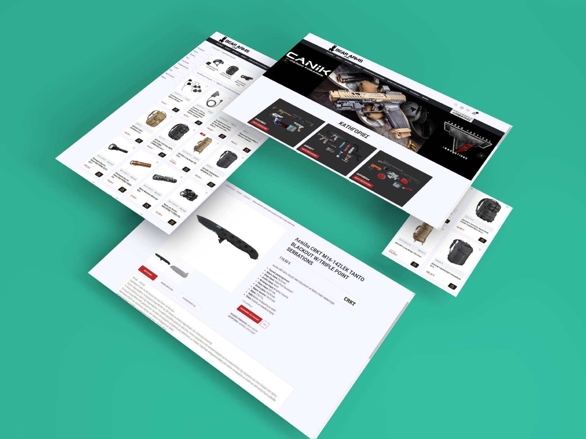 Bear arms portfolio image